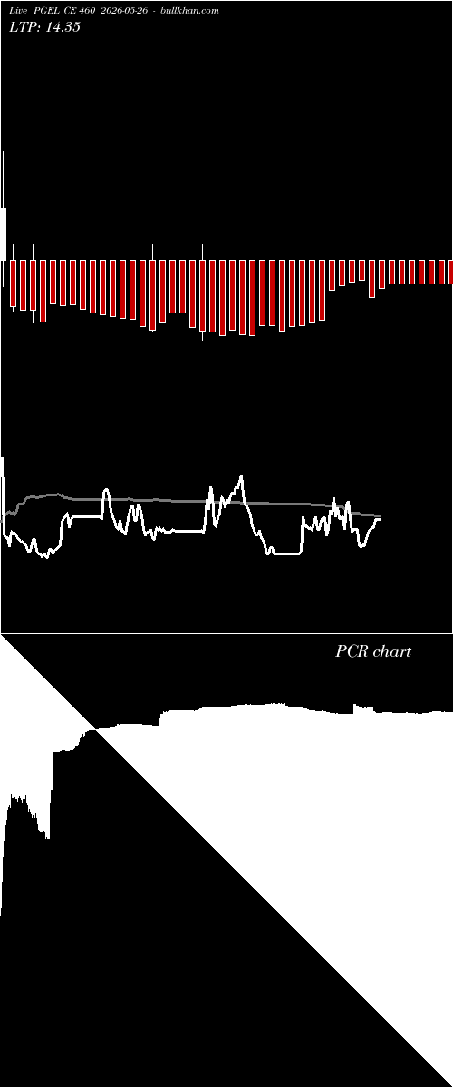  option chart PGEL CE 460 2026-05-26 