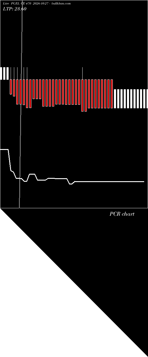  option chart PGEL CE 470 2026-10-27 