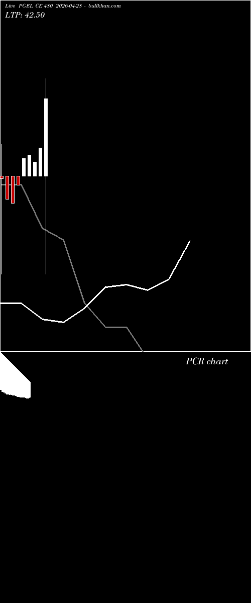  option chart PGEL CE 480 2026-04-28 