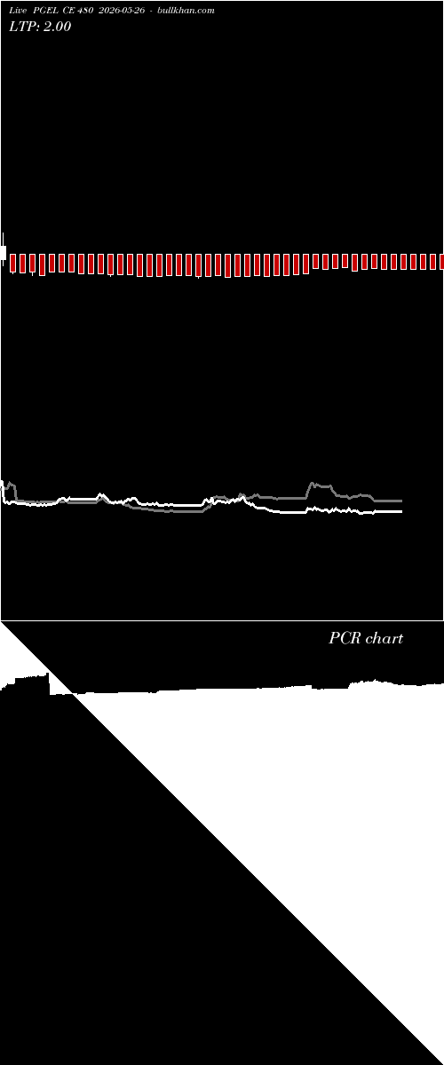  option chart PGEL CE 480 2026-05-26 