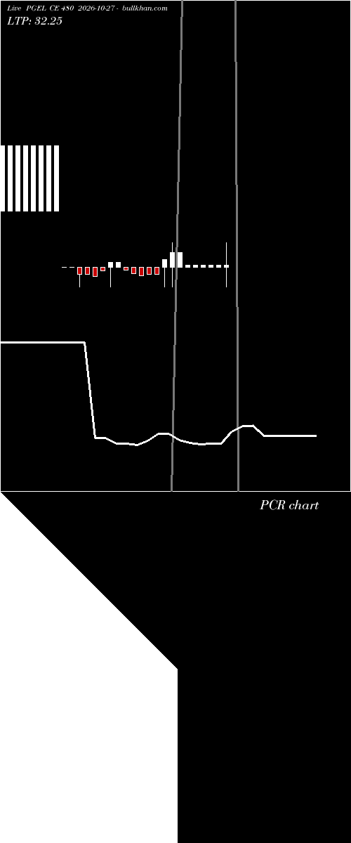  option chart PGEL CE 480 2026-10-27 