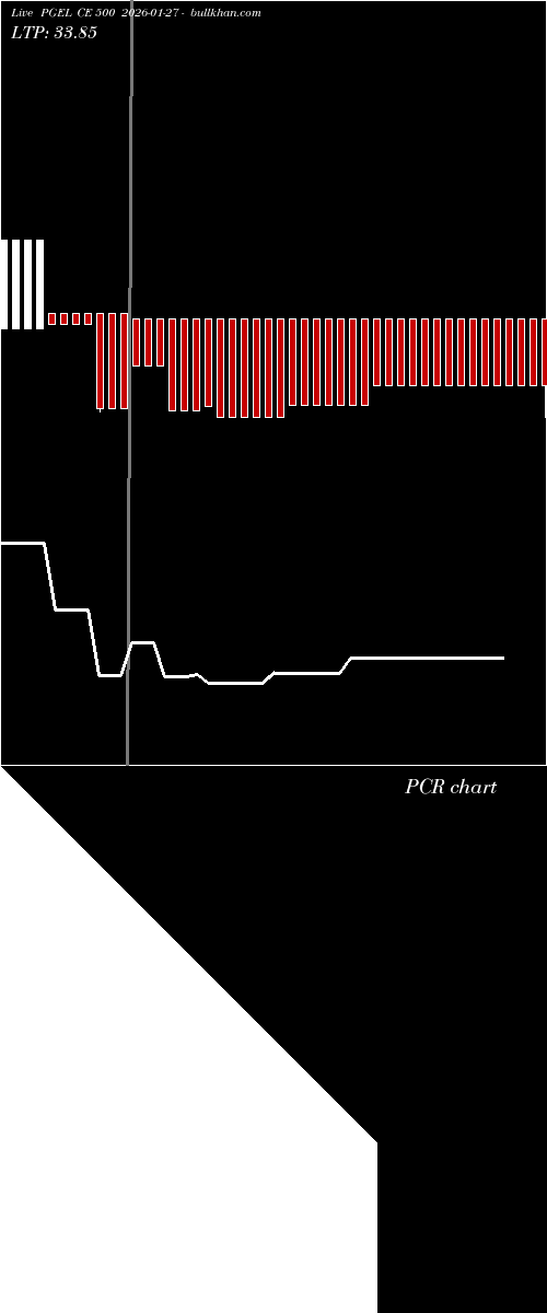  option chart PGEL CE 500 2026-01-27 