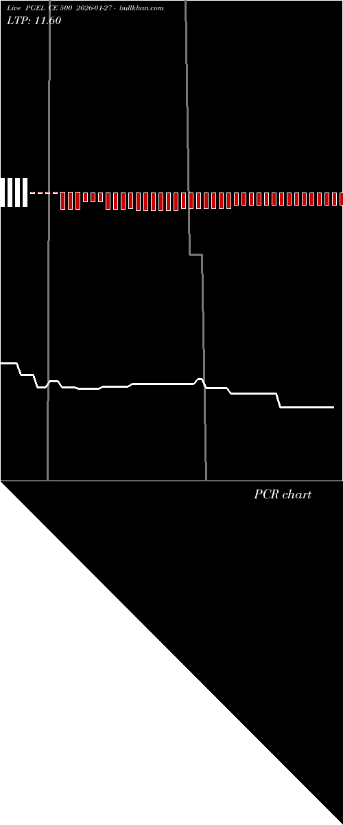  option chart PGEL CE 500 2026-01-27 