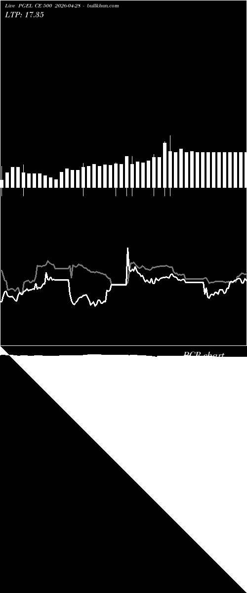  option chart PGEL CE 500 2026-04-28 