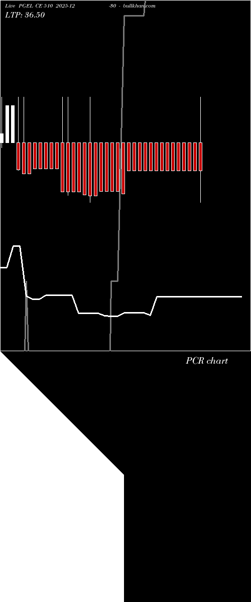  option chart PGEL CE 510 2025-12-30 