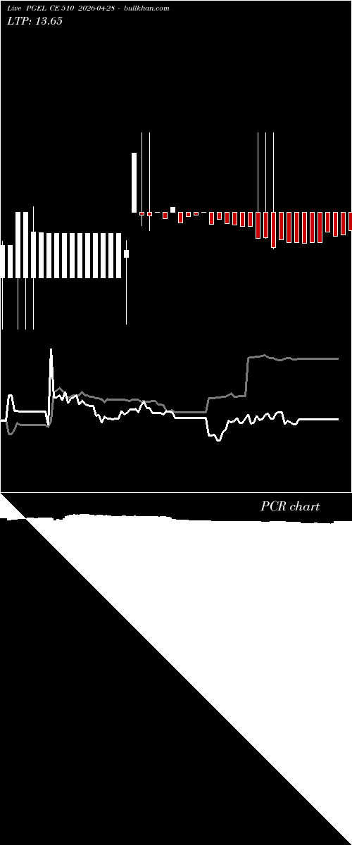  option chart PGEL CE 510 2026-04-28 