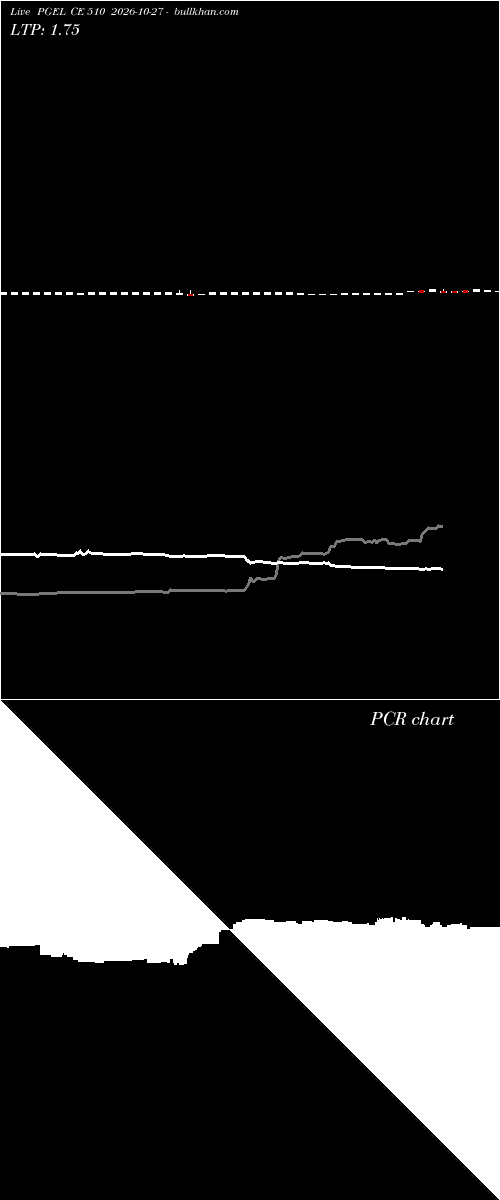  option chart PGEL CE 510 2026-10-27 