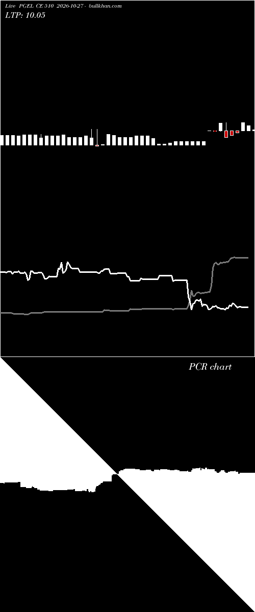  option chart PGEL CE 510 2026-10-27 