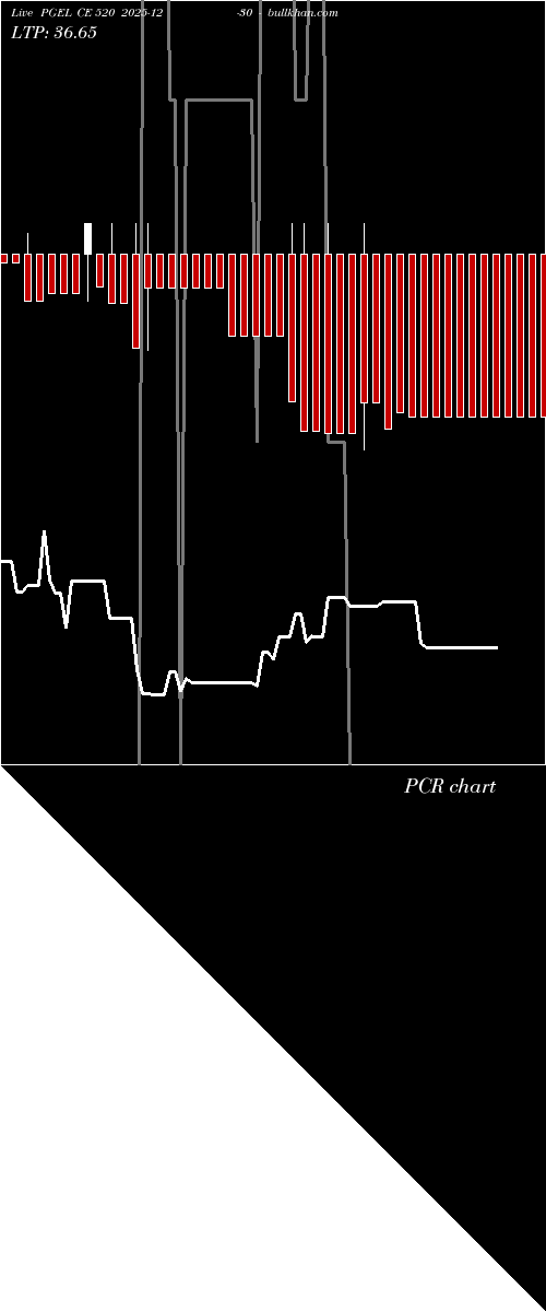  option chart PGEL CE 520 2025-12-30 