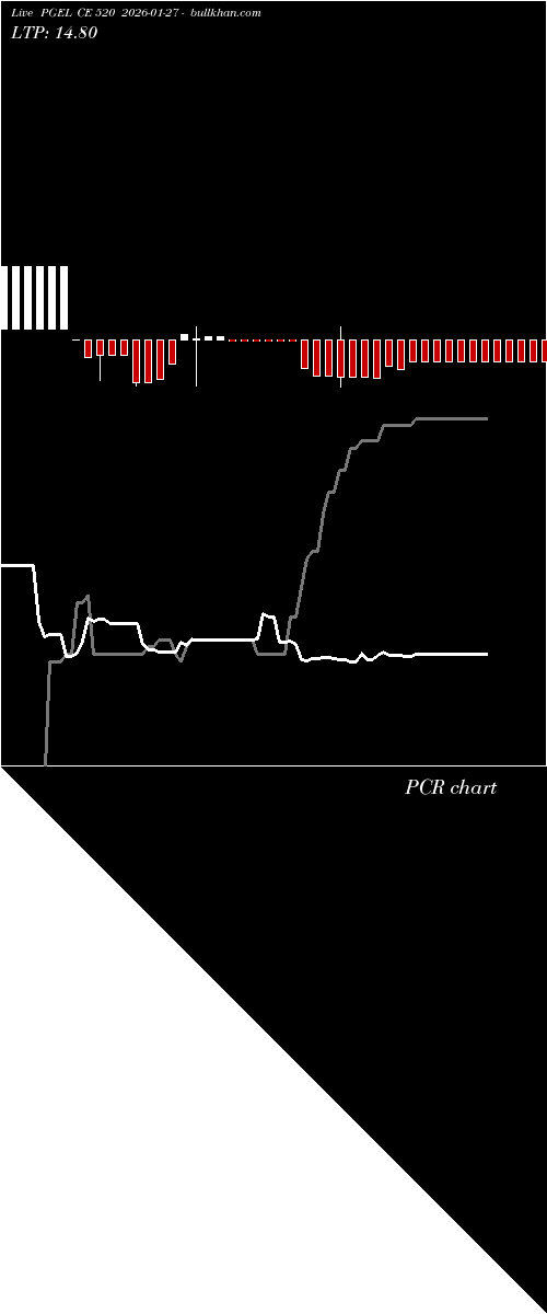  option chart PGEL CE 520 2026-01-27 