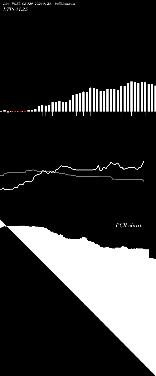  option chart PGEL CE 520 2026-04-28 
