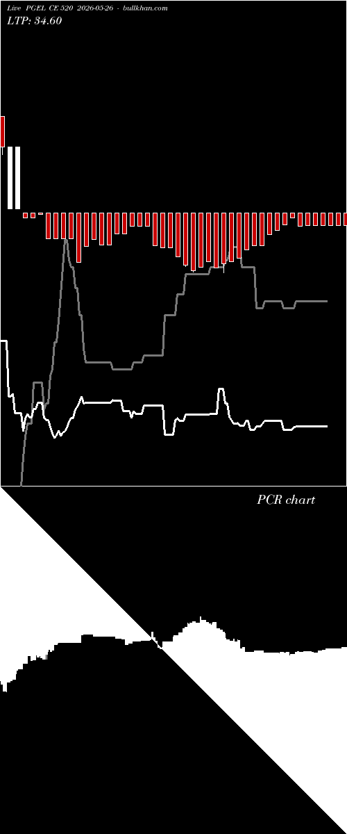  option chart PGEL CE 520 2026-05-26 