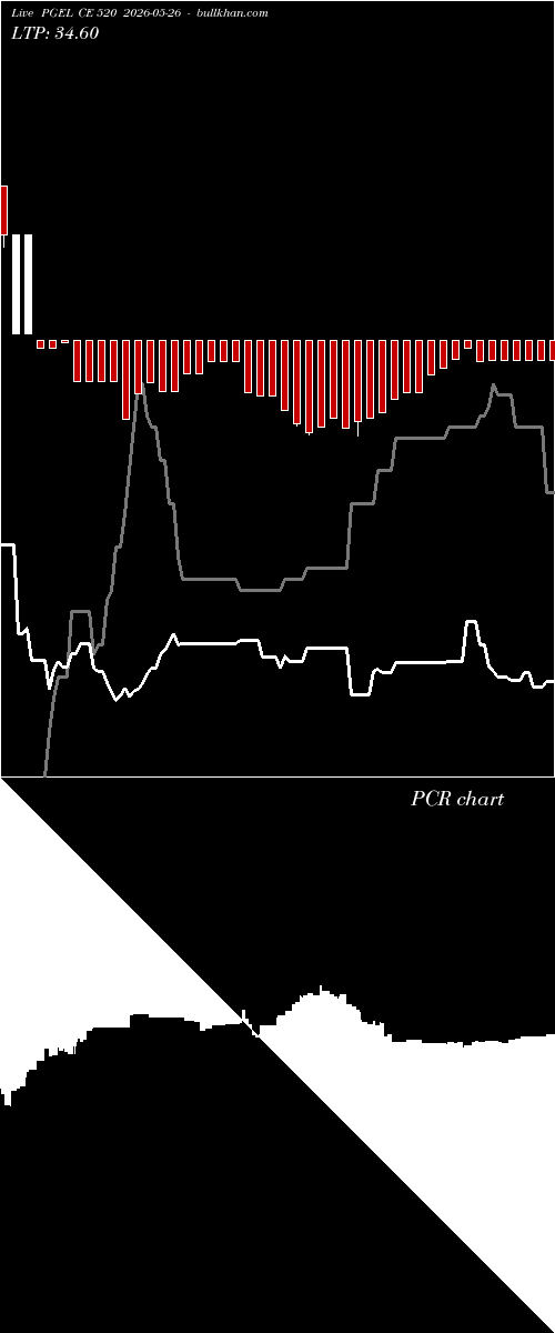  option chart PGEL CE 520 2026-05-26 