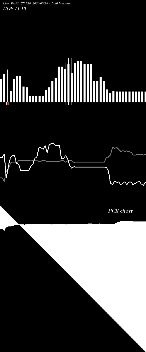  option chart PGEL CE 520 2026-05-26 