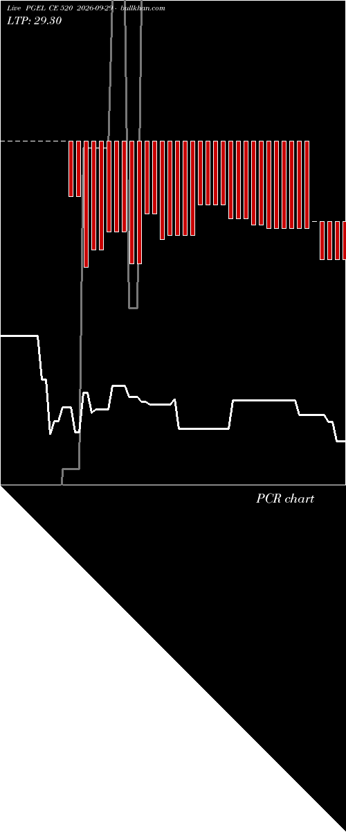  option chart PGEL CE 520 2026-09-29 