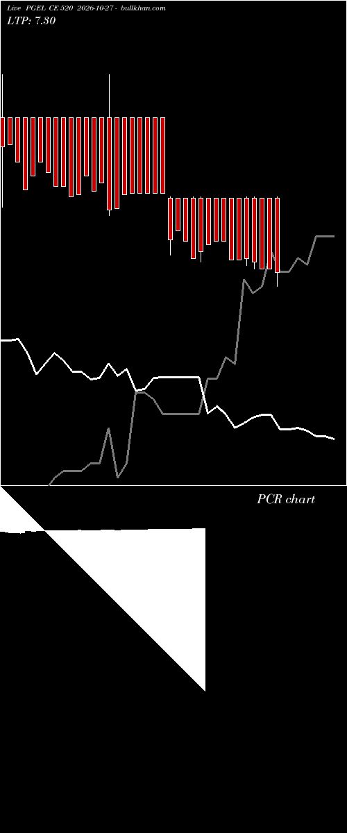  option chart PGEL CE 520 2026-10-27 