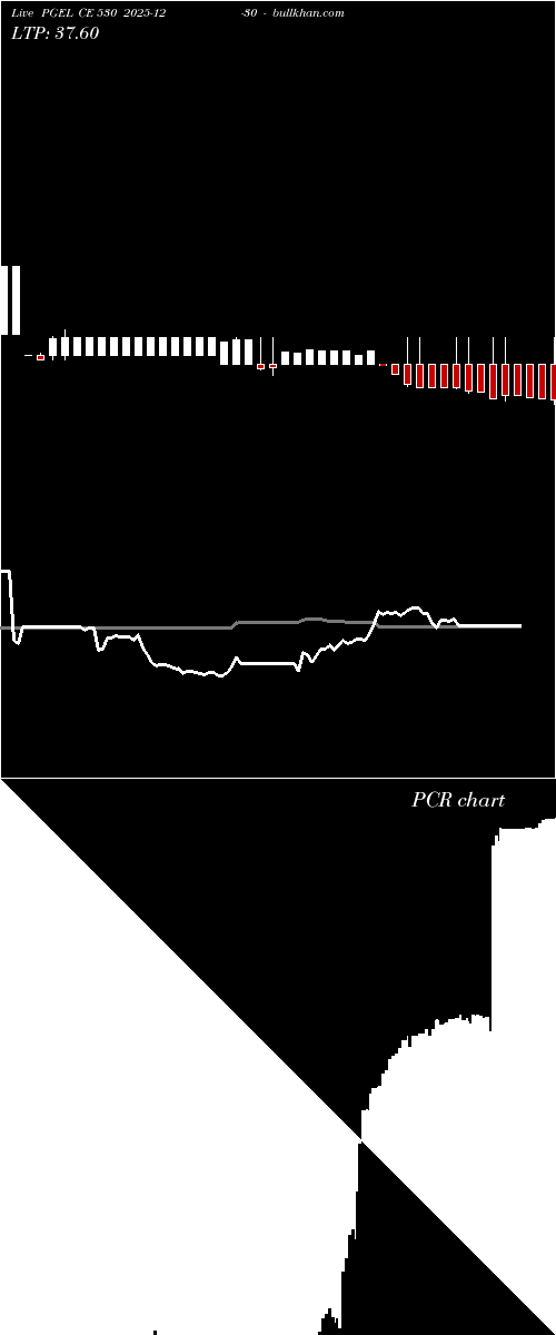  option chart PGEL CE 530 2025-12-30 