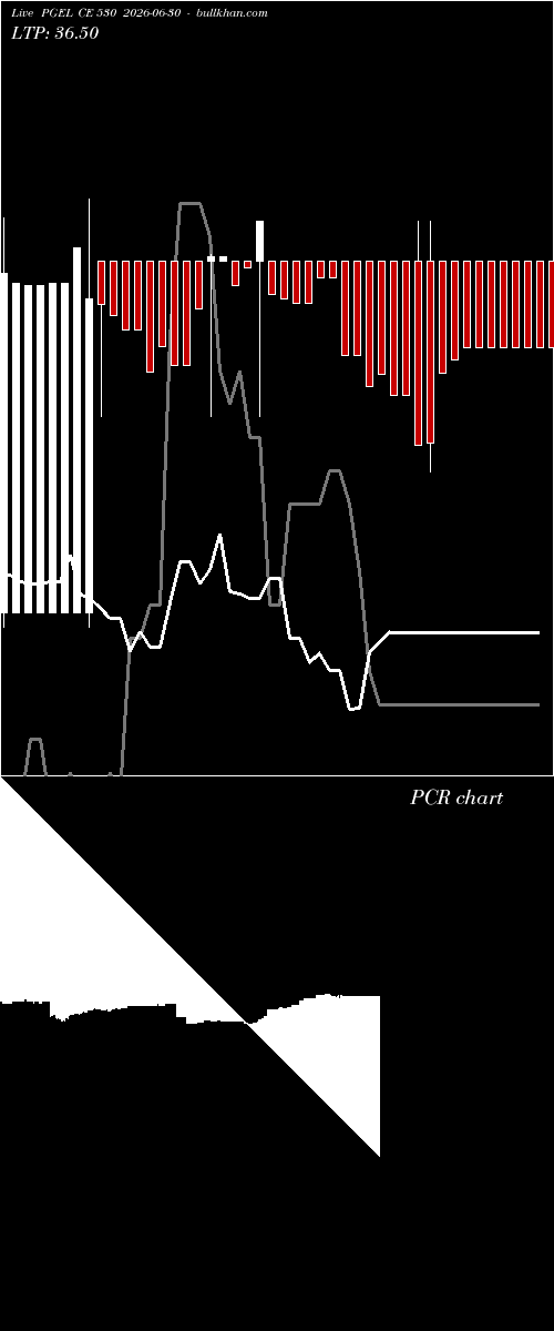  option chart PGEL CE 530 2026-06-30 