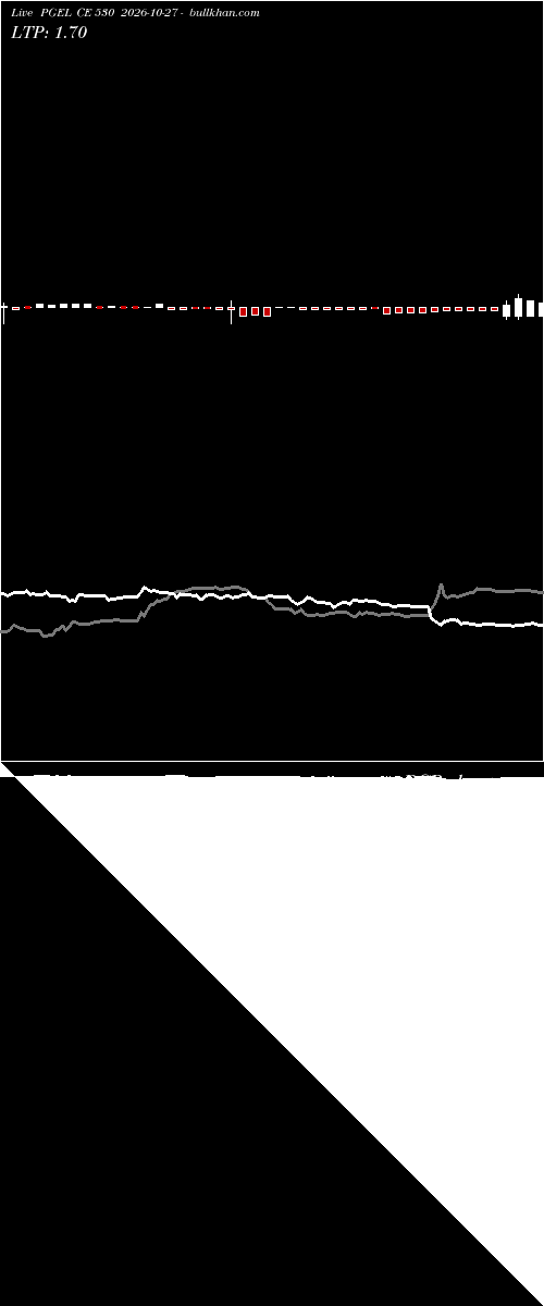  option chart PGEL CE 530 2026-10-27 