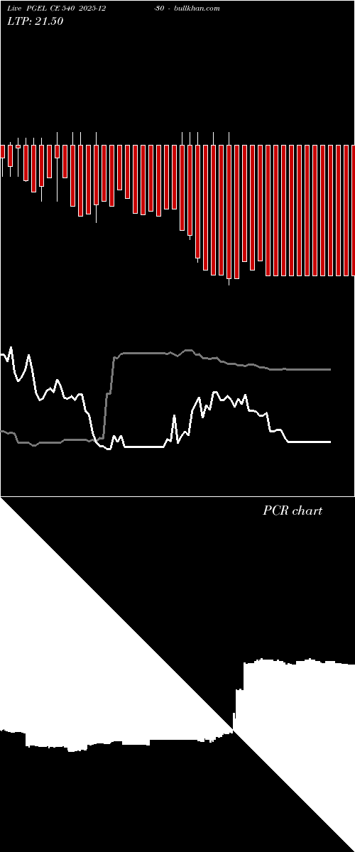  option chart PGEL CE 540 2025-12-30 