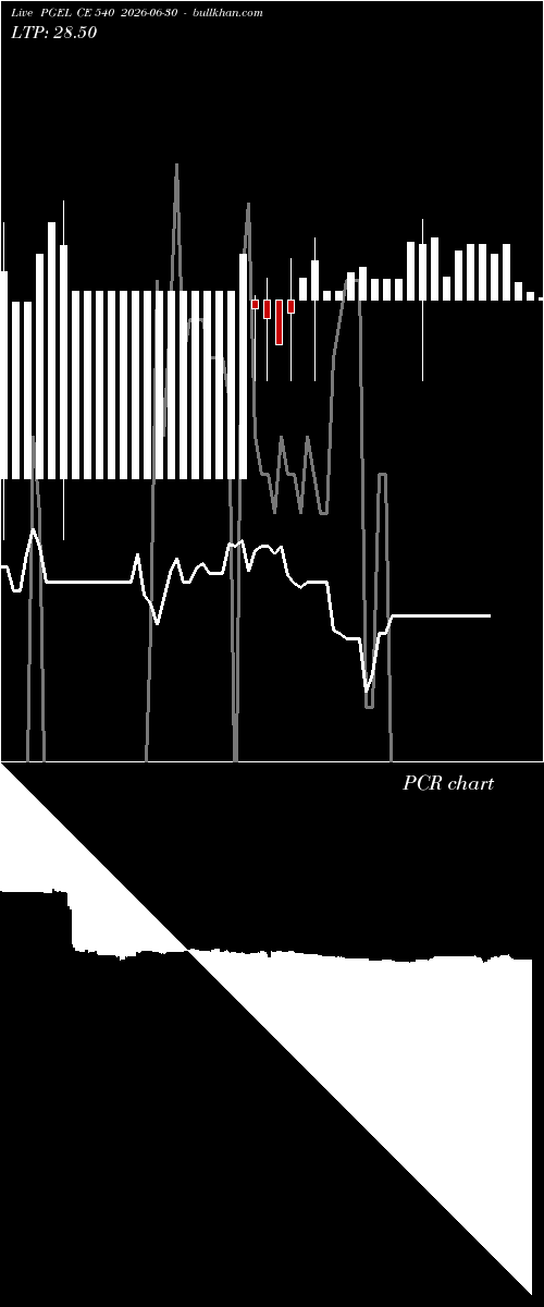  option chart PGEL CE 540 2026-06-30 