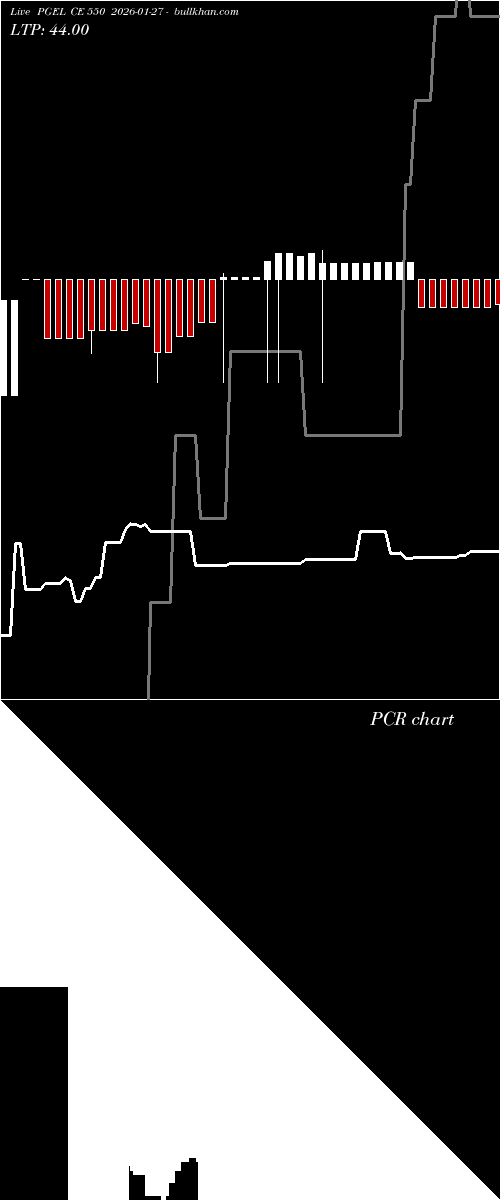  option chart PGEL CE 550 2026-01-27 
