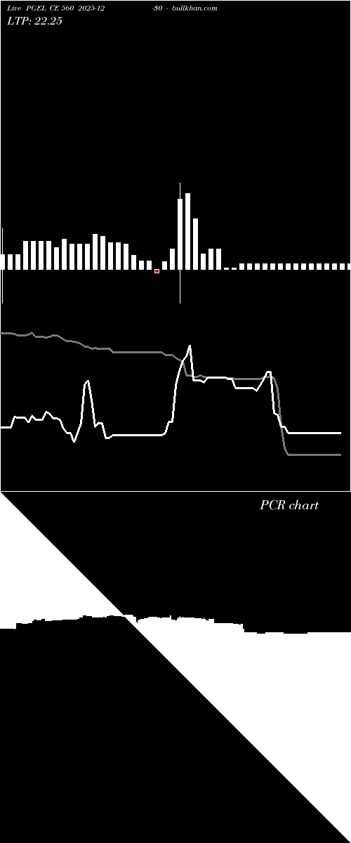  option chart PGEL CE 560 2025-12-30 