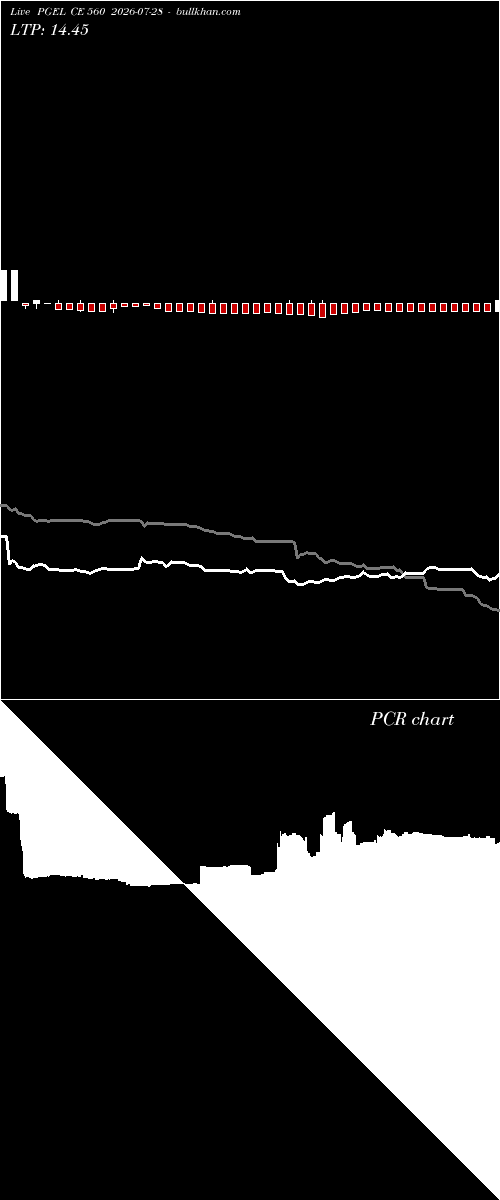  option chart PGEL CE 560 2026-07-28 