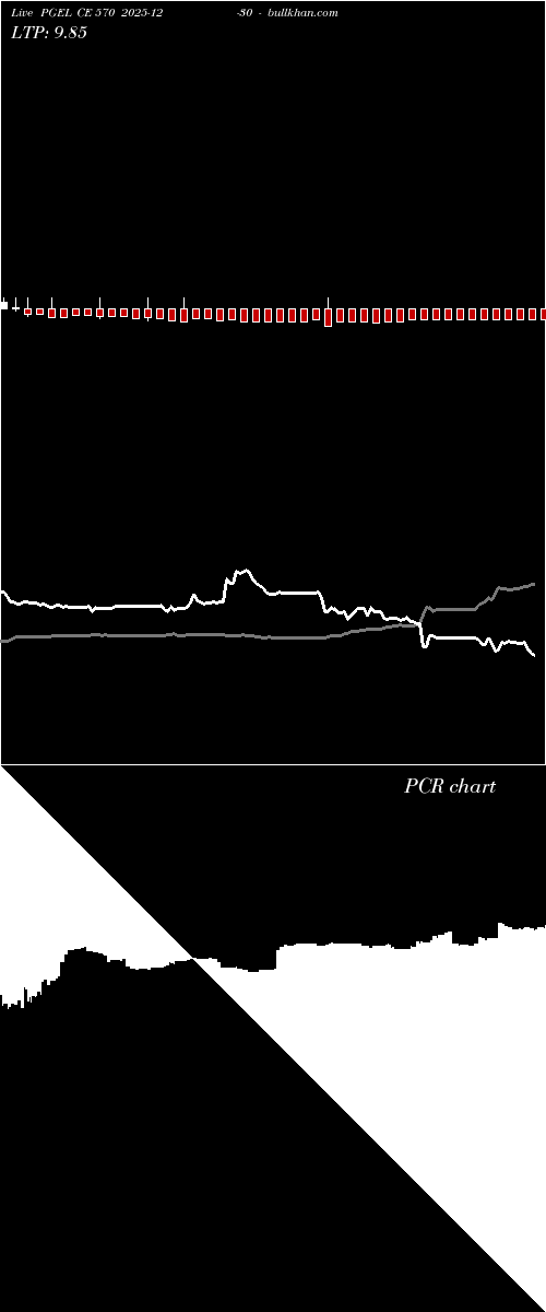  option chart PGEL CE 570 2025-12-30 