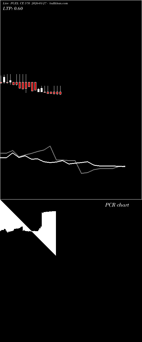 option chart PGEL CE 570 2026-01-27 