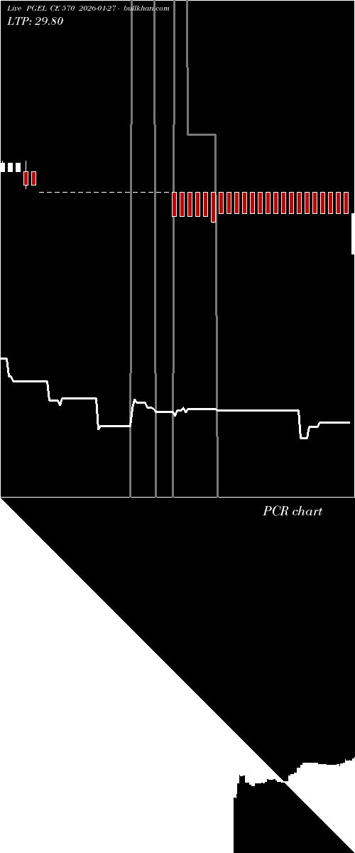  option chart PGEL CE 570 2026-01-27 