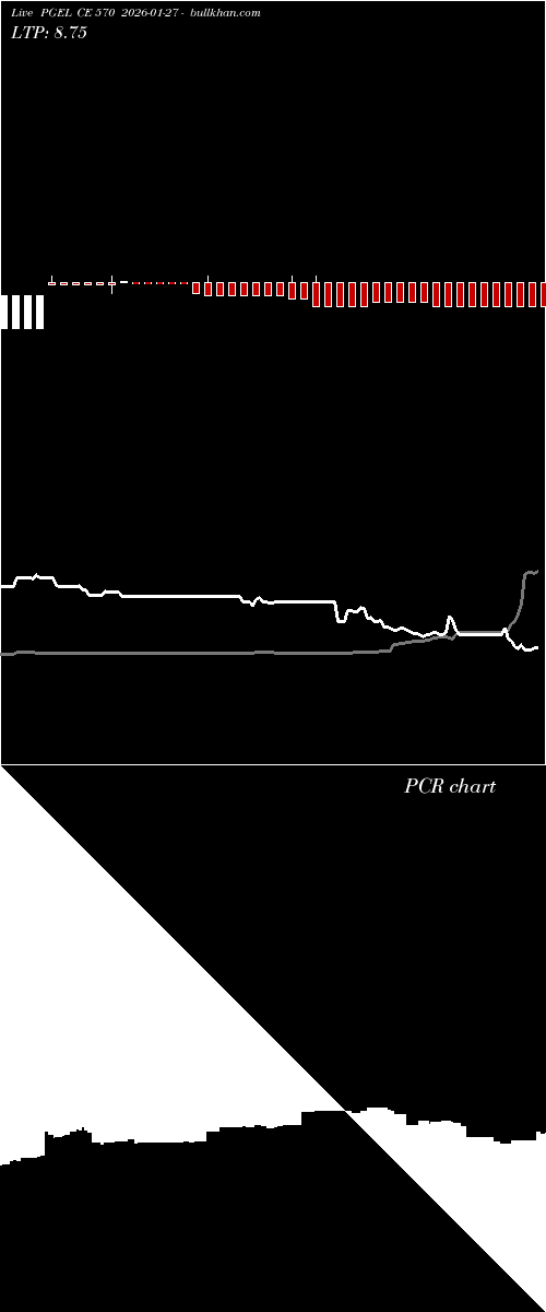  option chart PGEL CE 570 2026-01-27 