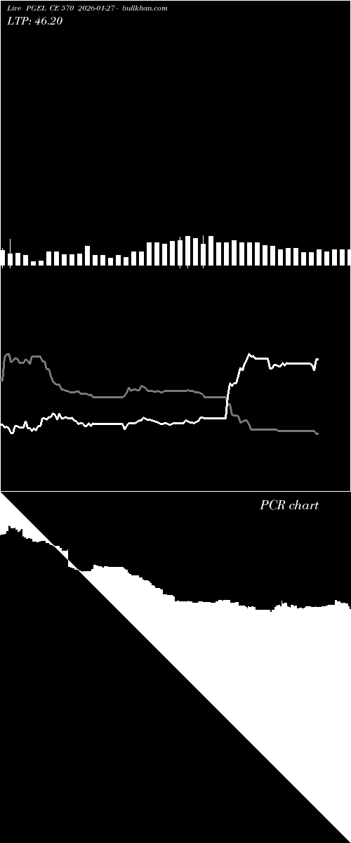  option chart PGEL CE 570 2026-01-27 