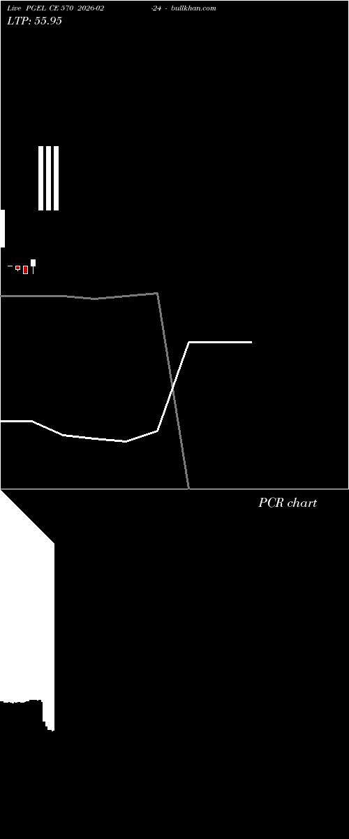  option chart PGEL CE 570 2026-02-24 