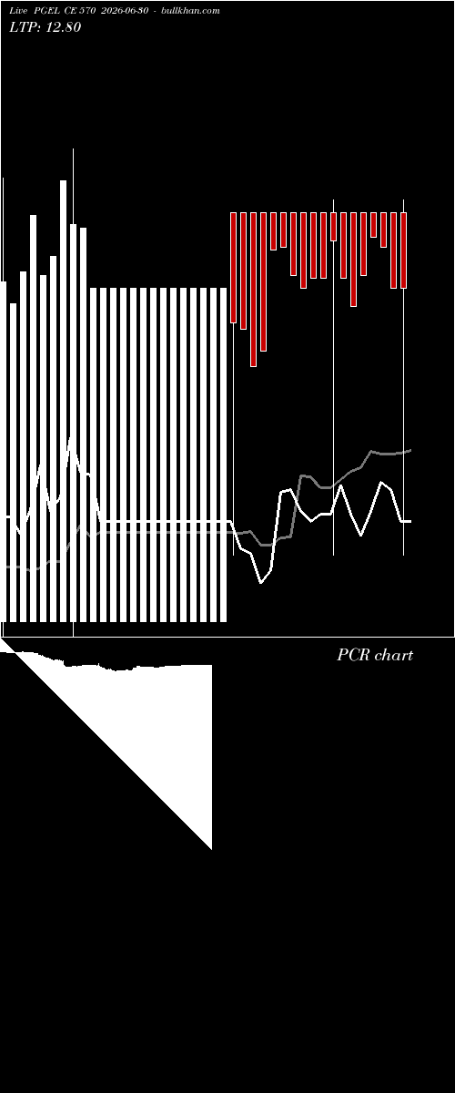  option chart PGEL CE 570 2026-06-30 