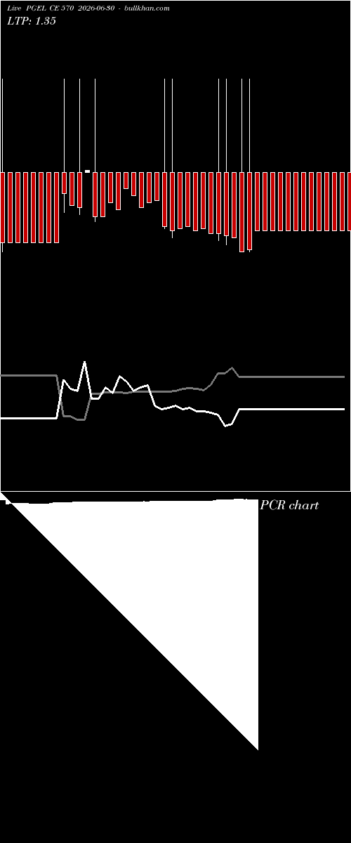  option chart PGEL CE 570 2026-06-30 