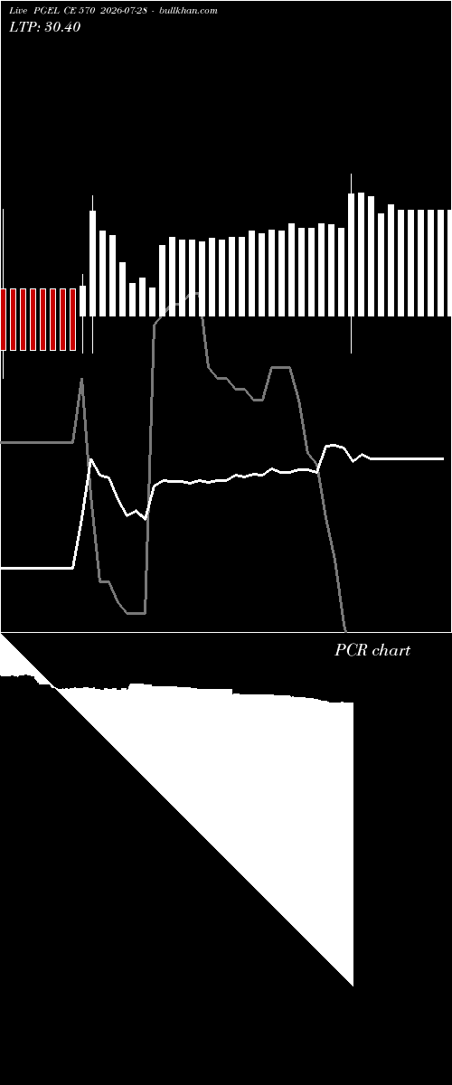  option chart PGEL CE 570 2026-07-28 