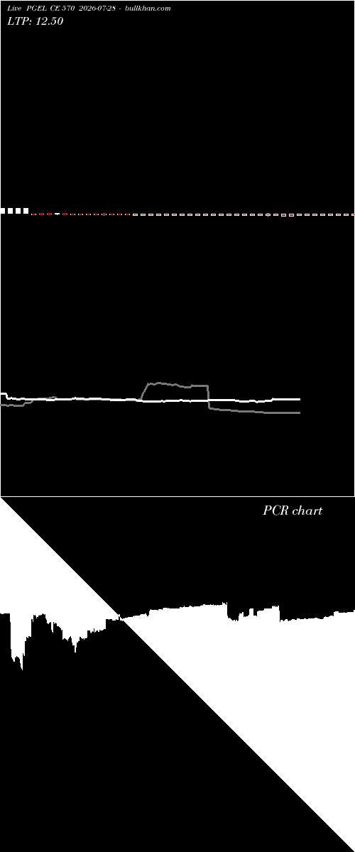  option chart PGEL CE 570 2026-07-28 