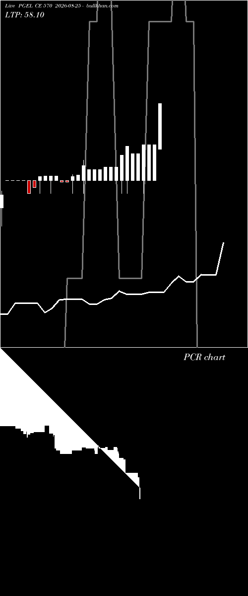  option chart PGEL CE 570 2026-08-25 
