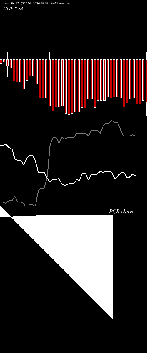  option chart PGEL CE 570 2026-09-29 