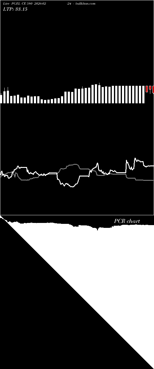  option chart PGEL CE 580 2026-02-24 