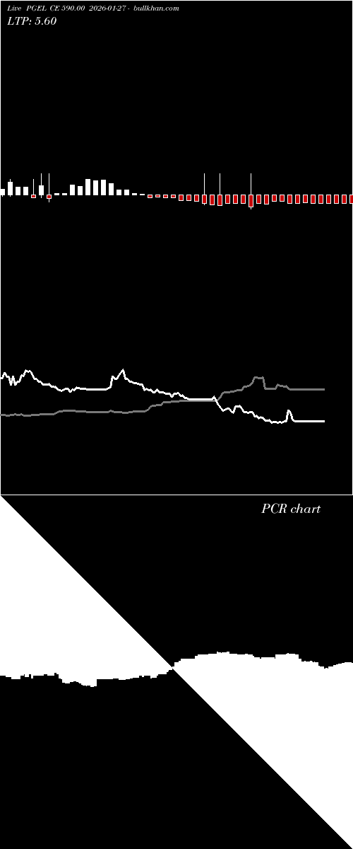  option chart PGEL CE 590.00 2026-01-27 