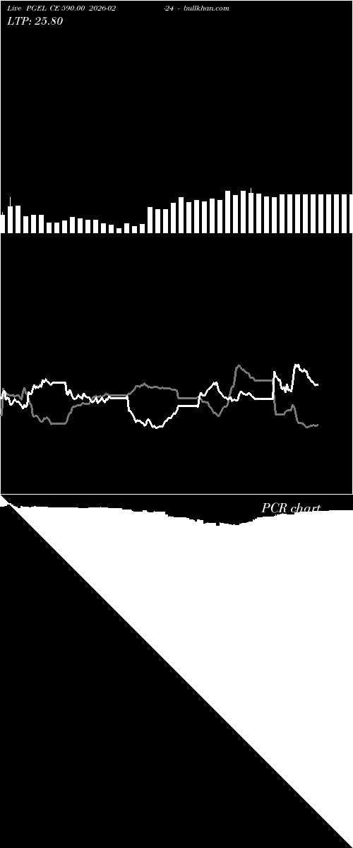  option chart PGEL CE 590.00 2026-02-24 