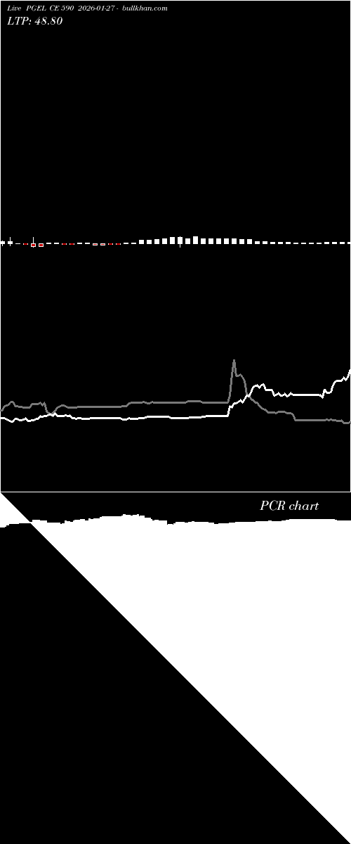  option chart PGEL CE 590 2026-01-27 