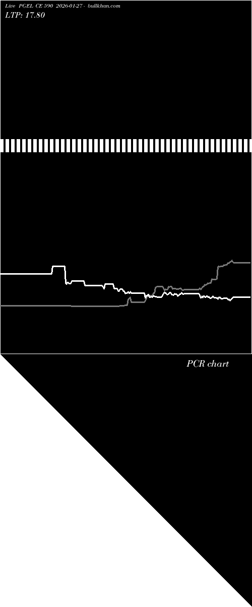  option chart PGEL CE 590 2026-01-27 