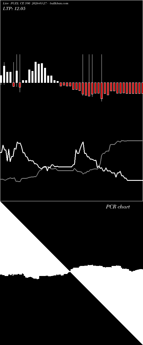  option chart PGEL CE 590 2026-01-27 