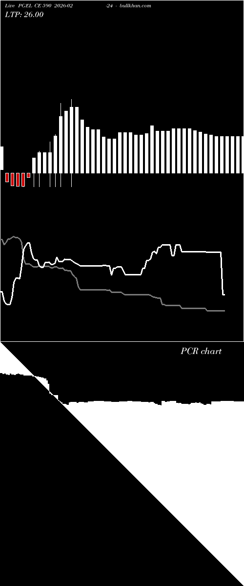  option chart PGEL CE 590 2026-02-24 