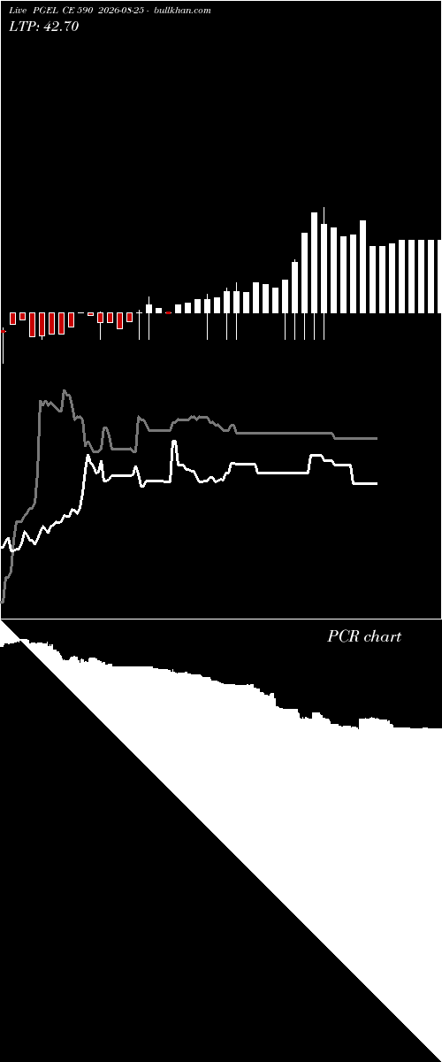  option chart PGEL CE 590 2026-08-25 