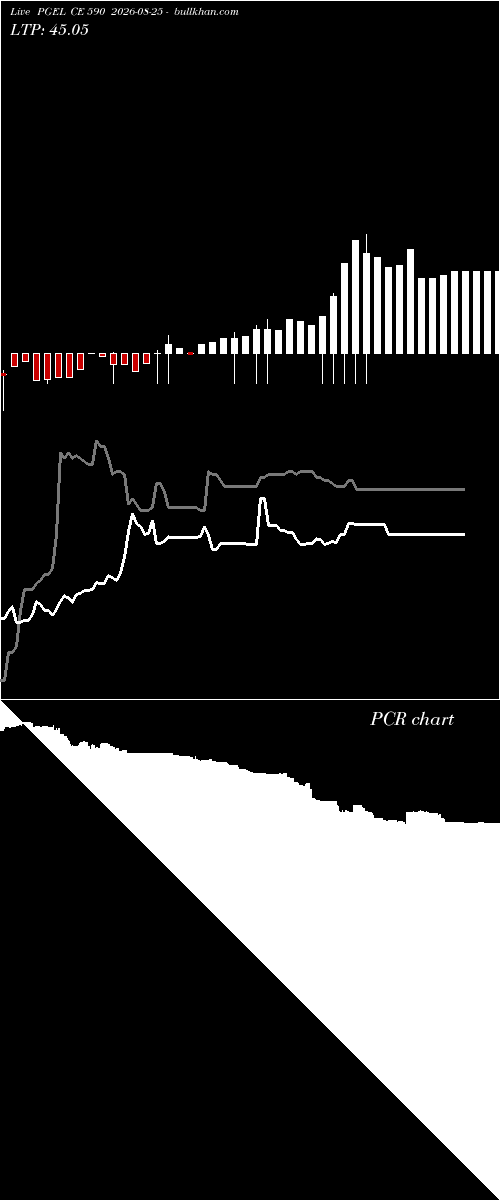  option chart PGEL CE 590 2026-08-25 