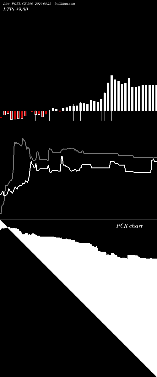  option chart PGEL CE 590 2026-08-25 